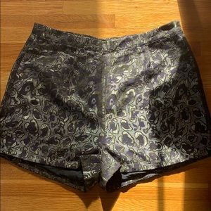 High Waist Animal Print / Leopard Shorts